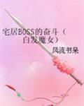 宅居BOSS的奋斗