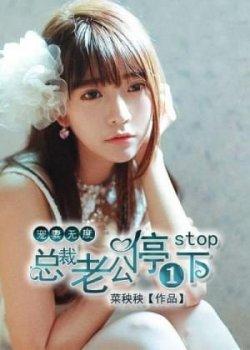 宠妻无度:总裁老公,停一下