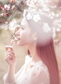 豪门难惹:总裁,我只出轨这一次