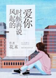 风起的时候,再说爱你