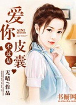爱你不过是皮囊