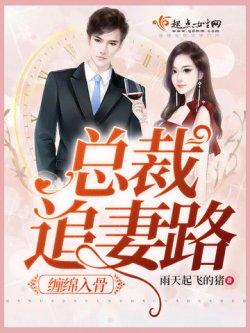 缠绵入骨:总裁追妻路