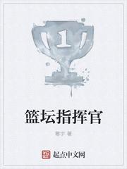篮坛指挥官