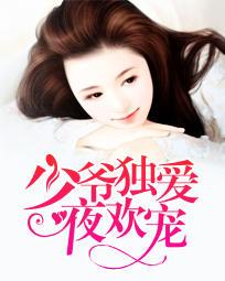 少爷独爱夜欢宠