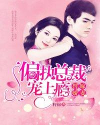 替嫁娇妻:偏执总裁宠上瘾