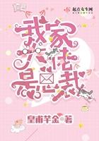 我家大佬是总裁