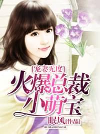 宠妻无度:火爆总裁小萌宝