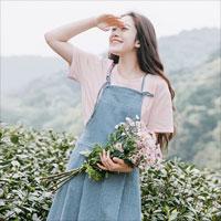 我心以南，有情漫漫