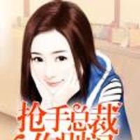 抢手总裁你别闹