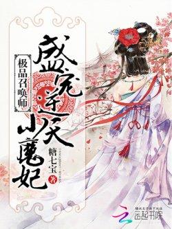极品召唤师:盛宠逆天小魔妃