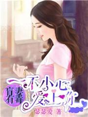 盲妻有毒一不小心爱上你