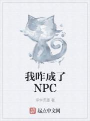 我咋成了NPC