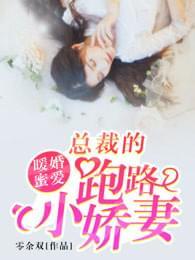 暖婚蜜爱:总裁的跑路小娇妻