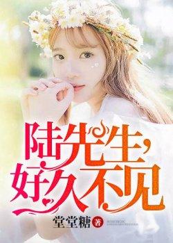 陆先生,好久不见