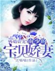 再婚娇宠:南少的宝贝娇妻