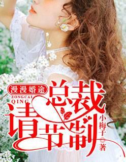 漫漫婚途:总裁,请节制