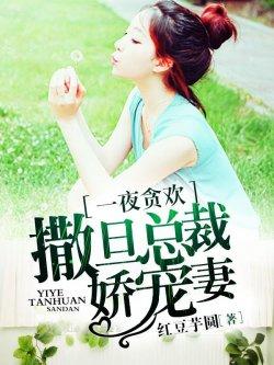 一夜贪欢:撒旦总裁娇宠妻
