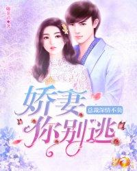 总裁深情不负:娇妻你别逃