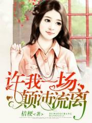 许我一场颠沛流离