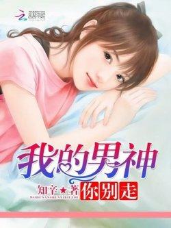 我的男神:你别走