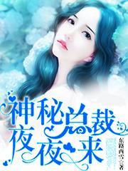 神秘总裁夜夜来