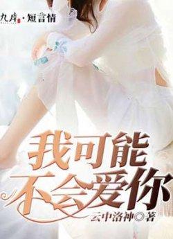 我可能不会爱你