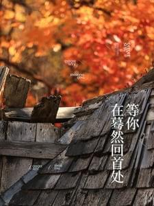 在蓦然回首处等你