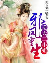 邪凤重生:逆天二小姐