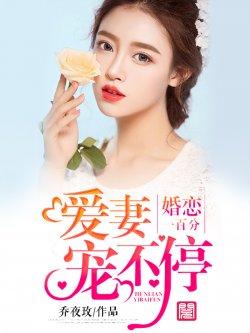 婚恋一百分:爱妻宠不停