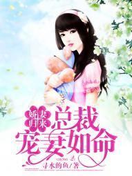 娇妻归来:总裁宠妻如命