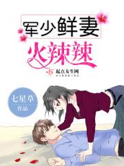 重生女兵:全能军嫂的幸福生活