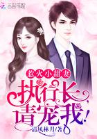 惹火小甜妻:执行长,请宠我!