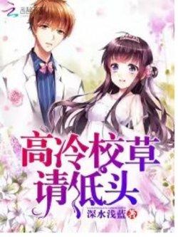 高冷校草,请低头