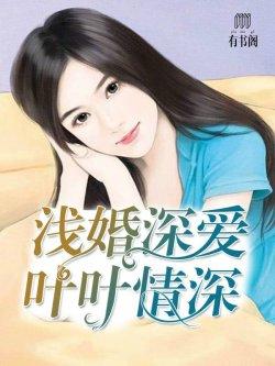 浅婚深爱:叶叶情深