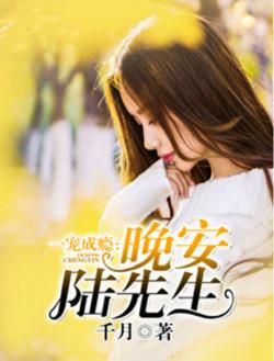 一宠成瘾:晚安陆先生