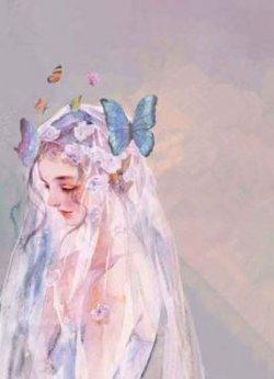 暖婚总裁的协议娇妻