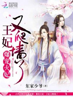 爆宠火妃:王妃又爬墙了