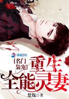 名门枭宠:重生全能灵妻