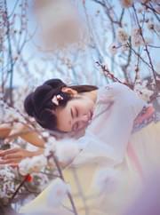 犹是春闺梦里人