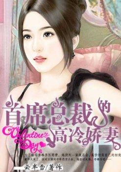 首席总裁的高冷娇妻