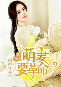 闪婚蜜爱:萌妻要革命