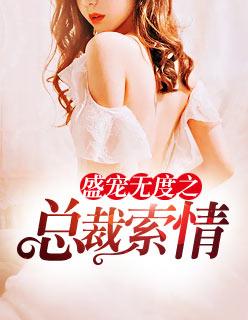 盛宠无度之总裁索情