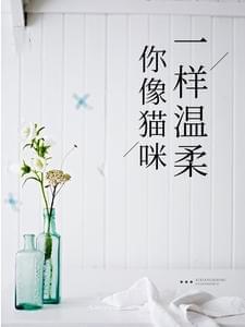 你像猫咪一样温柔