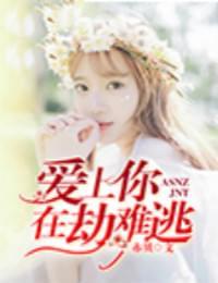 爱上你,在劫难逃