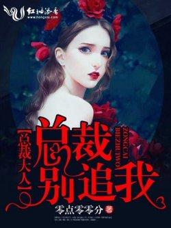 总裁大人,总裁别追我