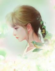 惹上豪门:厉少求轻宠