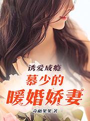 诱爱成瘾:慕少的暖婚娇妻