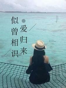 似曾相识爱归来