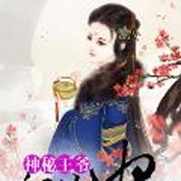 神秘王爷的萌妃