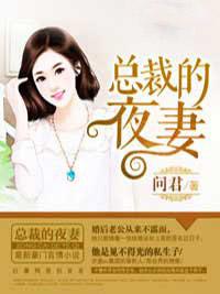 总裁的夜妻